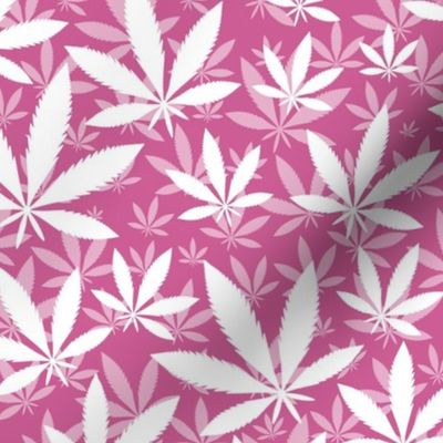 Bigger Scale Marijuana Cannabis Leaves White on Peony Pink