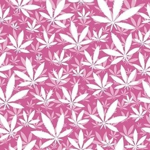 Smaller Scale Marijuana Cannabis Leaves White on Peony Pink 