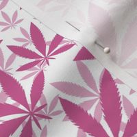 Bigger Scale Marijuana Cannabis Leaves Peony Pink on White