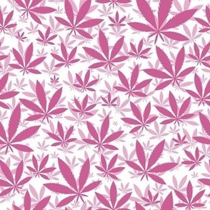 Smaller Scale Marijuana Cannabis Leaves Peony Pink on White