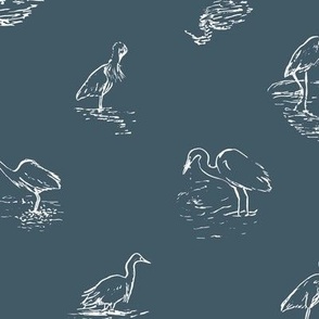 SMALL Egret and Heron - lake birds wading in water and fishing. Line drawing in dark blue and white