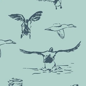 LARGE Ducks on lake taking off and flying over water line drawing in blue grey on teal blue