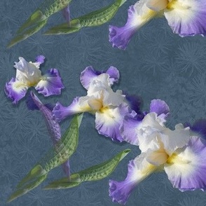 9x6-Inch Repeat of Purple Iris Bring Wisdom and Grandeur in the Language of Flowers