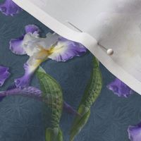 6x4-Inch Repeat of Purple Iris Bring Wisdom and Grandeur in the Language of Flowers