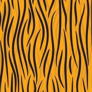Tigers Stripes