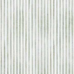 watercolor green stripe - sage color - botanical sage green stripe wallpaper