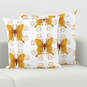 Amber butterfly on white