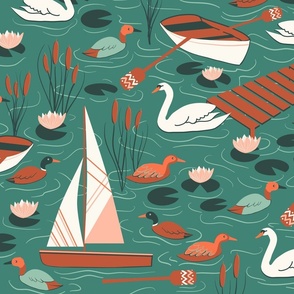 Ducks and boats