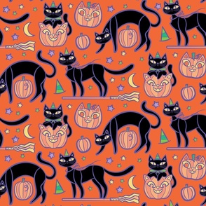 spooky cats _black and orange