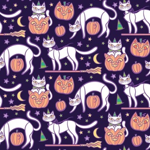 spooky cats _purple and white