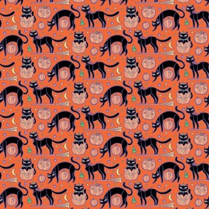 spooky cats small black and orange