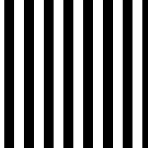 broad vertical stripes - black and white