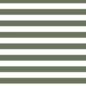 broad horizontal stripes - fern green and white