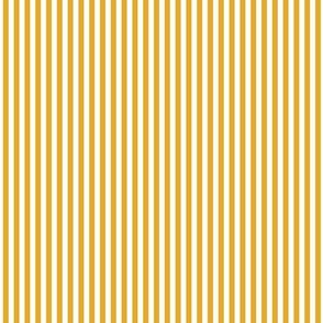 thin vertical stripes -sunshine yellow and white