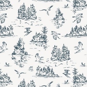 SMALL Toile de Joey lake scene with islands and osprey birds flying with fish 