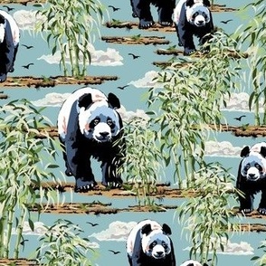 Wild Giant Panda Bears, Lush Green Bamboo Forest Panda Habitat on Blue Sky and Safari Plain (Medium Scale)