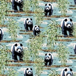 Black and White Giant Panda Bears, Wild Panda Habitat Lush Bamboo Forest on Blue (Small Scale)