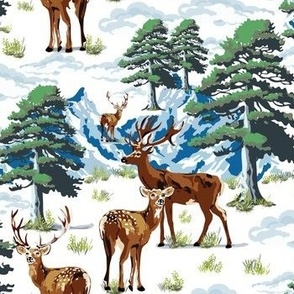 Deer Mountain Landscape, White Winter Woodland Wonderland, Wild Pine Tree Forest (Small Scale)