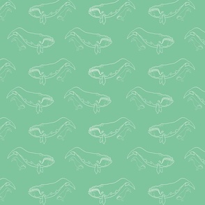 Mother and baby whales in white with a pastel green background.