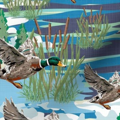 Lakeside Cabin Flying Birds Migrating, Emerald Green Mallard Ducks, Migration Scene, Freshwater Bulrush Riverbed