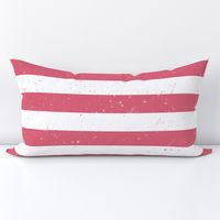 Nantucket Red and White Splattered Paint Horizontal Cabana Tent Stripe 