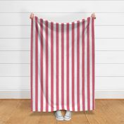 Nantucket Red and White Splattered Paint Vertical Cabana Tent Stripe 