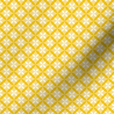 Nested Lattice Yellow B