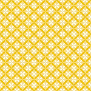 Nested Lattice Yellow B