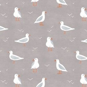 seagulls - collection "lake life" - nautical birds, grey