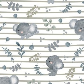 Koala Bears Sage Stripes