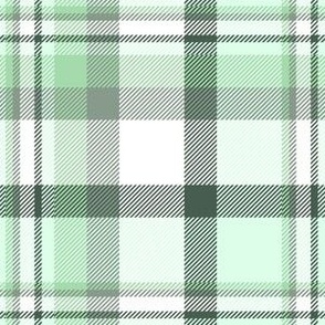 6" Plaid in light green and white