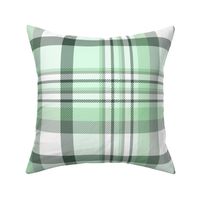 12" Plaid in light green and white