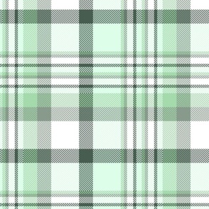 12" Plaid in light green and white