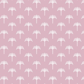 Ciro Palmtree - Lilac