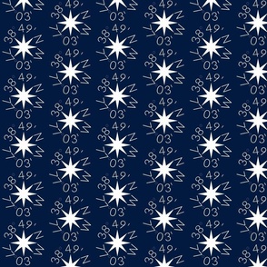 Del Ray Compass Rose - Small Repeat, Navy