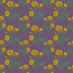 Daisy Purple 6”