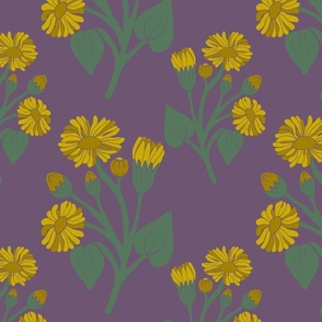 Daisy Purple 12”