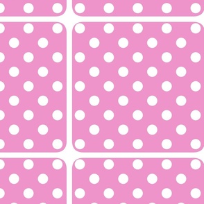 Pink Polka Plaid / Large