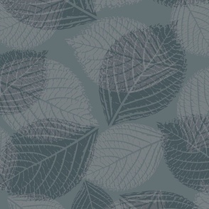 Dark Gray Hydrangea Leaves Large Scale