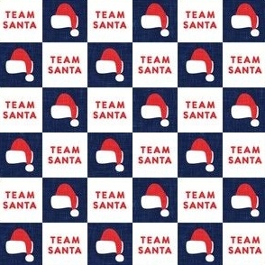 (small scale) Team Santa - Christmas checks - navy - LAD23