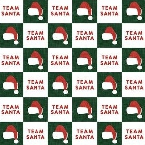 (small scale) Team Santa - Christmas checks - dark green - LAD23