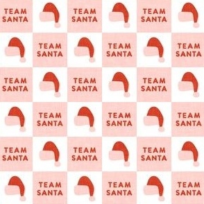 (small scale) Team Santa - Christmas checks - pink - LAD23