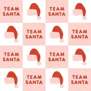Team Santa - Christmas checks - pink - LAD23