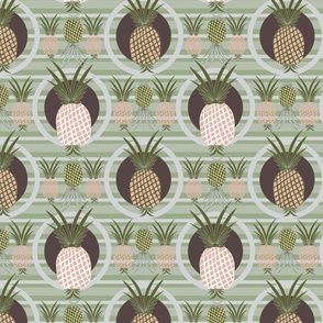 Pineapples/medium