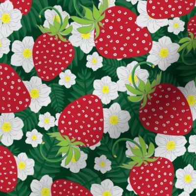 strawberry garden/medium