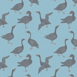 Small Scale Lake life of Geese. Grey and blue, textured background