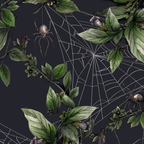 belladonna and spiders