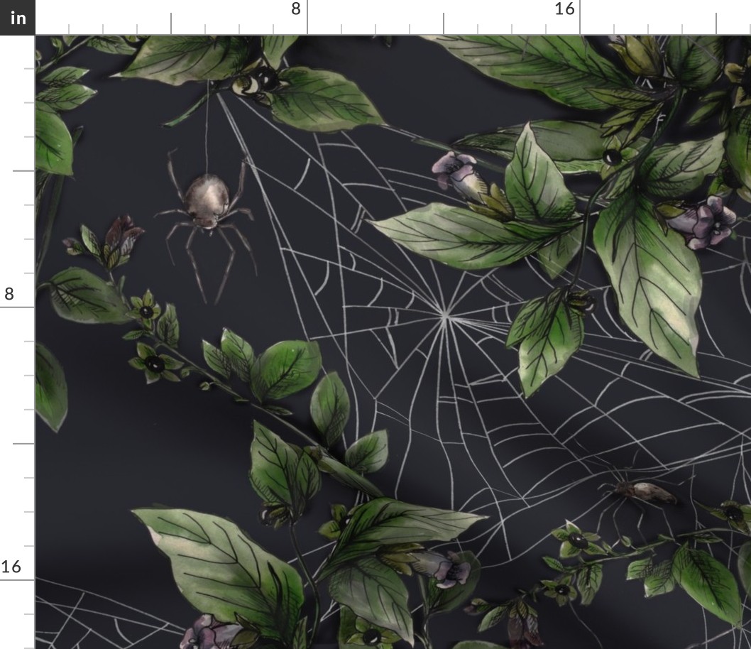 belladonna and spiders