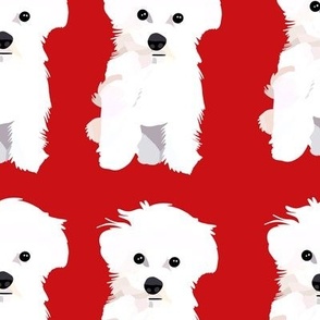 White bichon frise modern puppy dog pattern | medium version | Puppy print