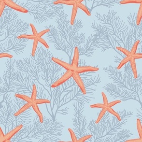 Starfishes on baby blue